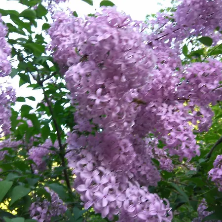 Appartement La Boheme - The Magic Of & Free Parking Riga